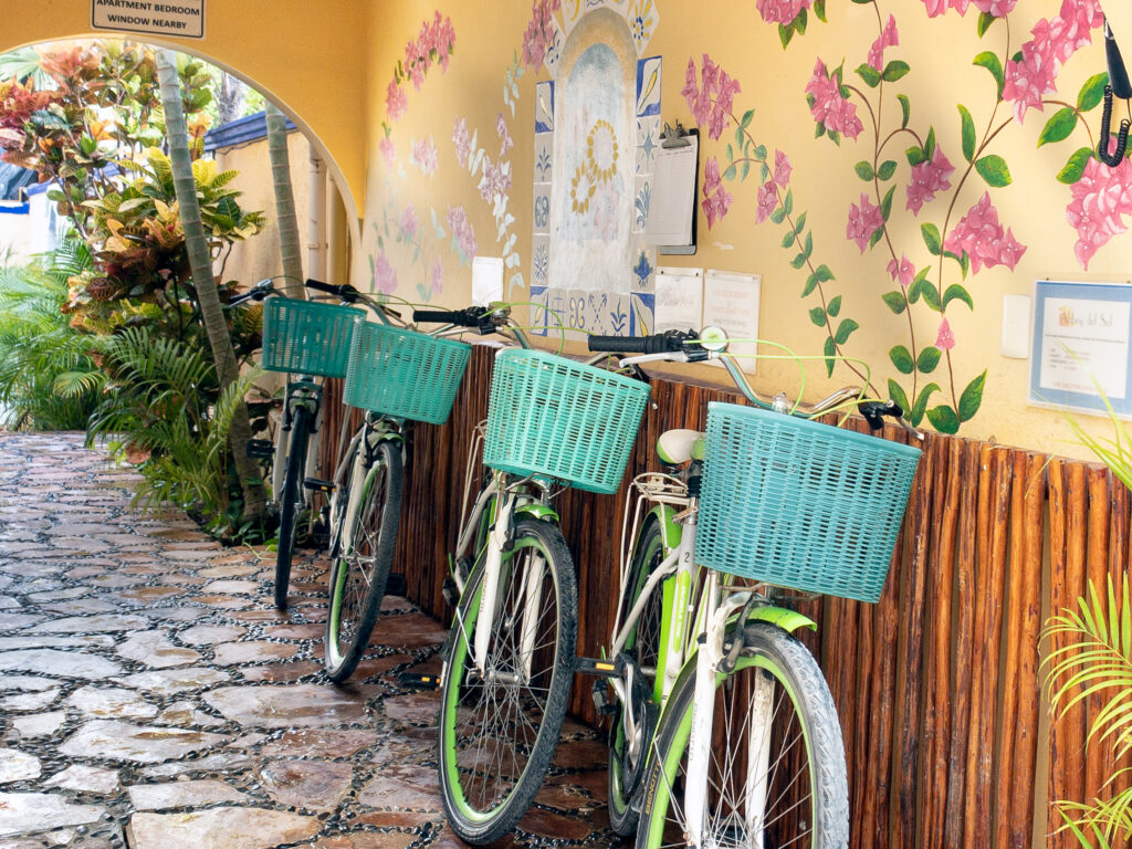 Bicycles with turquoise baskets lined up beside a colorful floral wall mural.