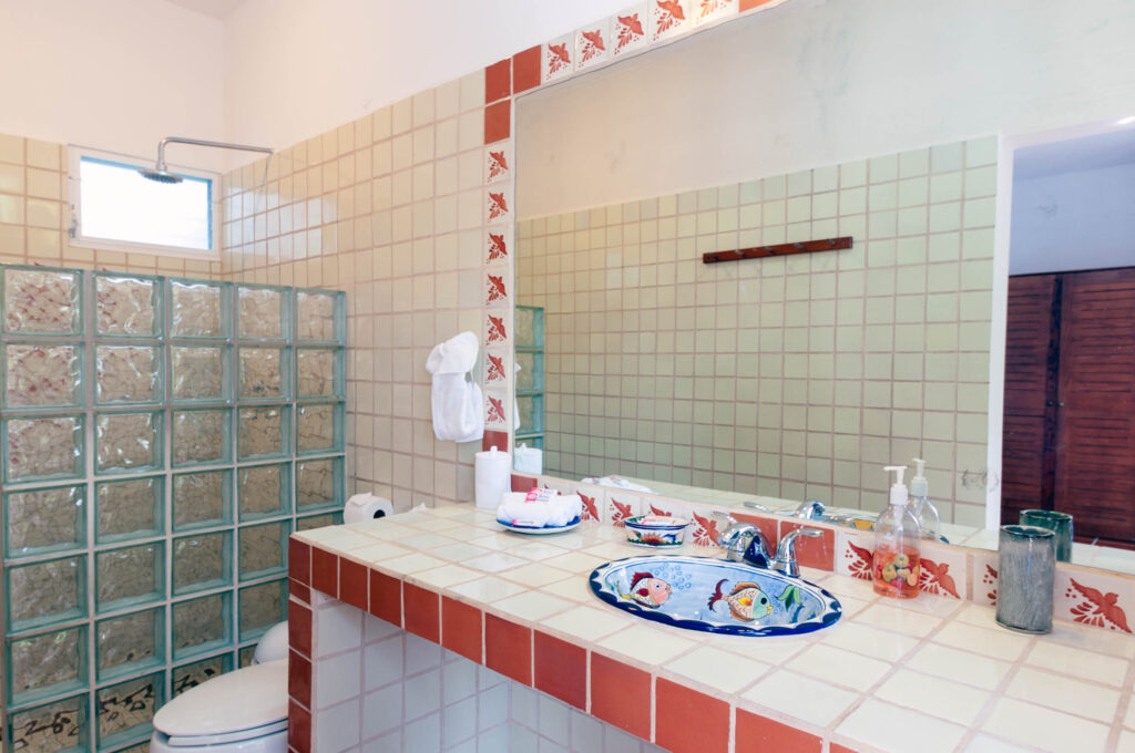 Decorated sink and tiled vanity with red trim beside a toilet and glass-block shower screen.