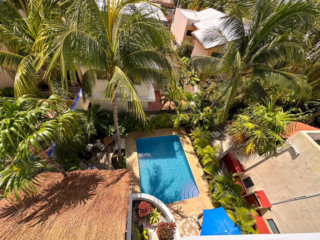 Overhead view of a narrow blue pool surrounded by palms, patios, and a blue umbrella.