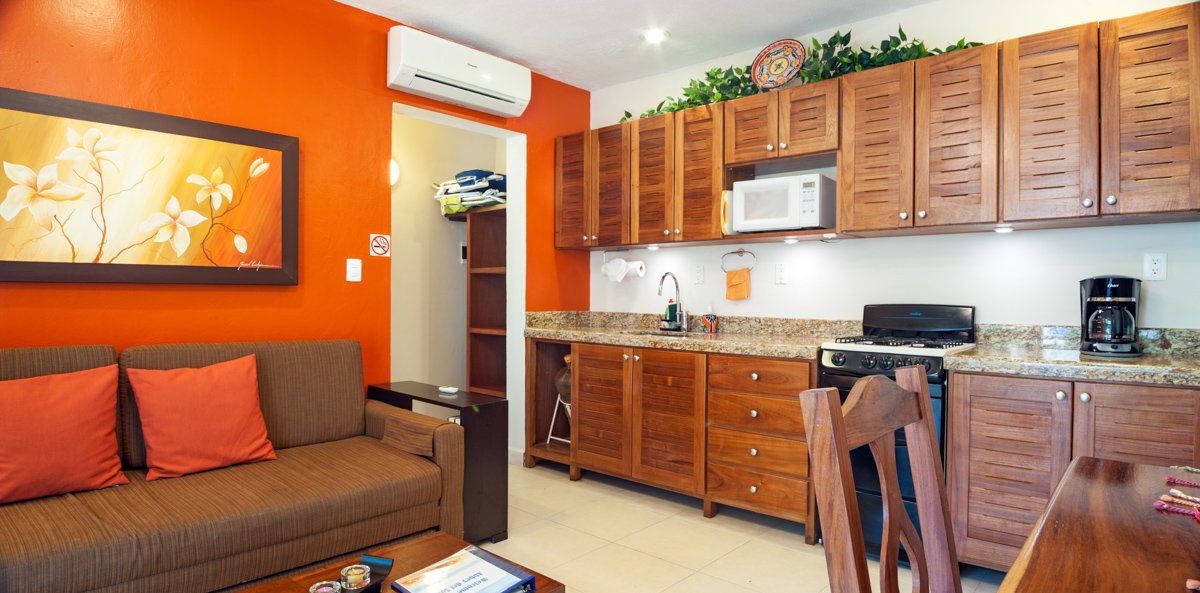 Open kitchen and living area with sleeper sofa in Abbey del Sol Apartment #8
