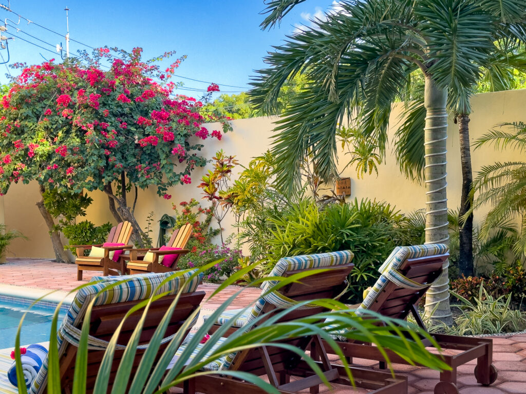 Striped lounge chairs beside palms and bright pink bougainvillea along a yellow wall.