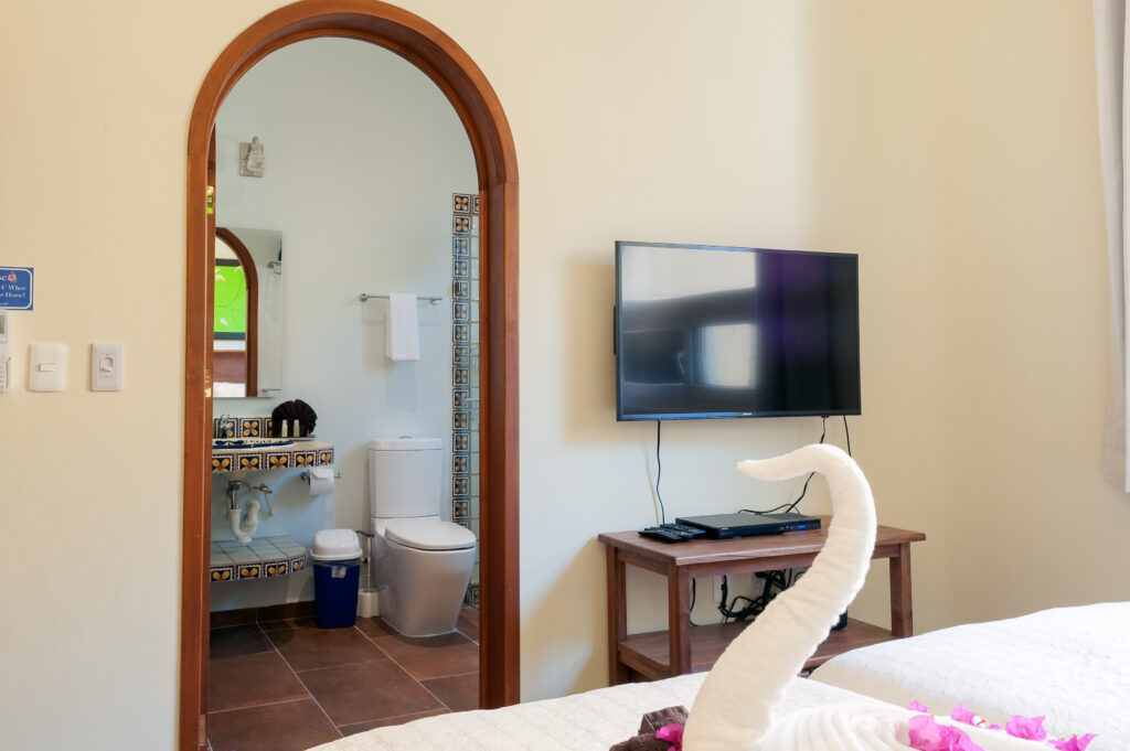 Towel swan on a bed beside a television and an arched doorway into the bathroom.
