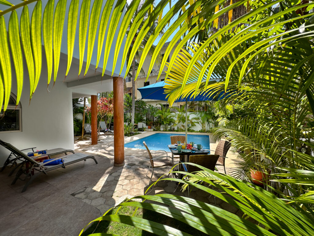 Poolside chairs and a shaded patio seen through large palm fronds.