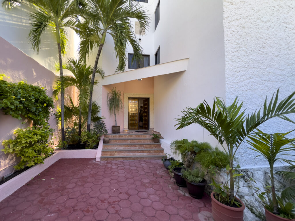 Red-paved walkway lined with palms and potted plants leads to the house entrance.