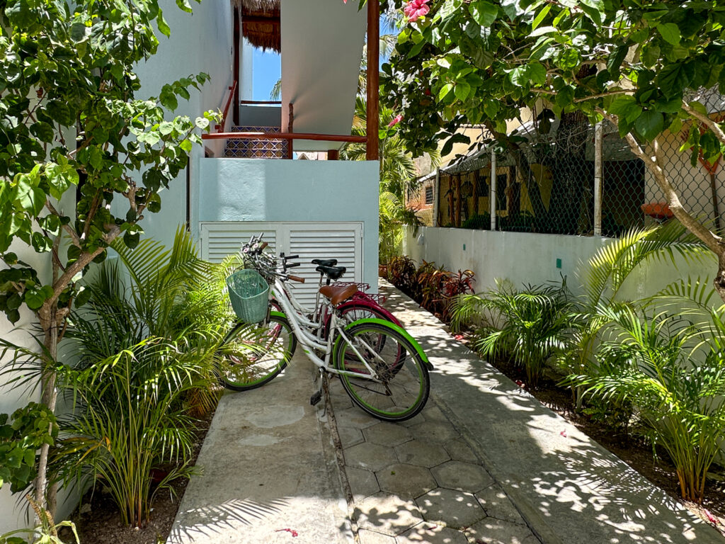 Bicycles parked on a stone path surrounded by tropical plants beside a white building.