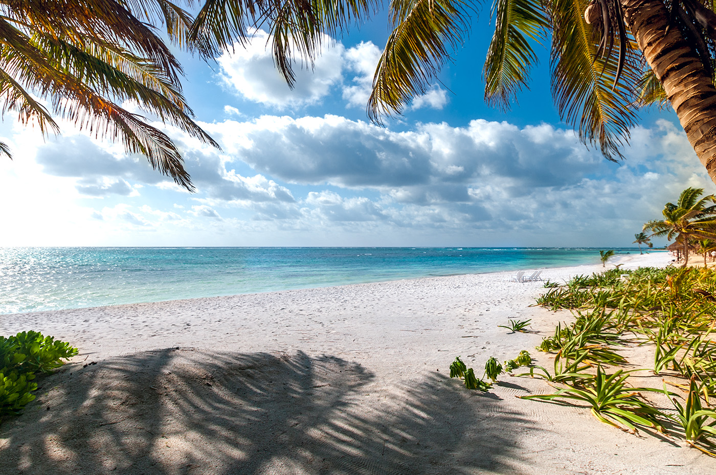 An empty white-sand beach framed by palms beside the Caribbean Sea