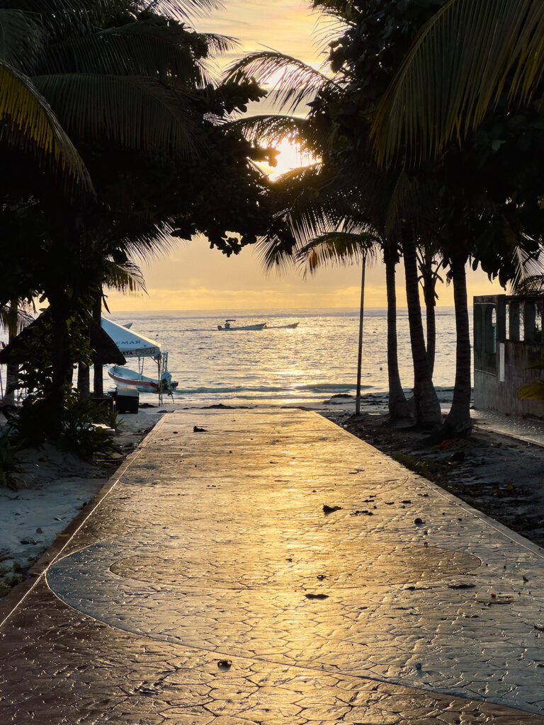 Quiet palm-lined walkway leading to the Caribbean in Puerto Morelos